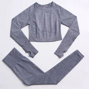 Seamless Yoga Fitness Suit