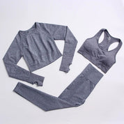 Seamless Yoga Fitness Suit