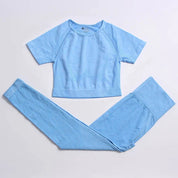 Seamless Yoga Fitness Suit