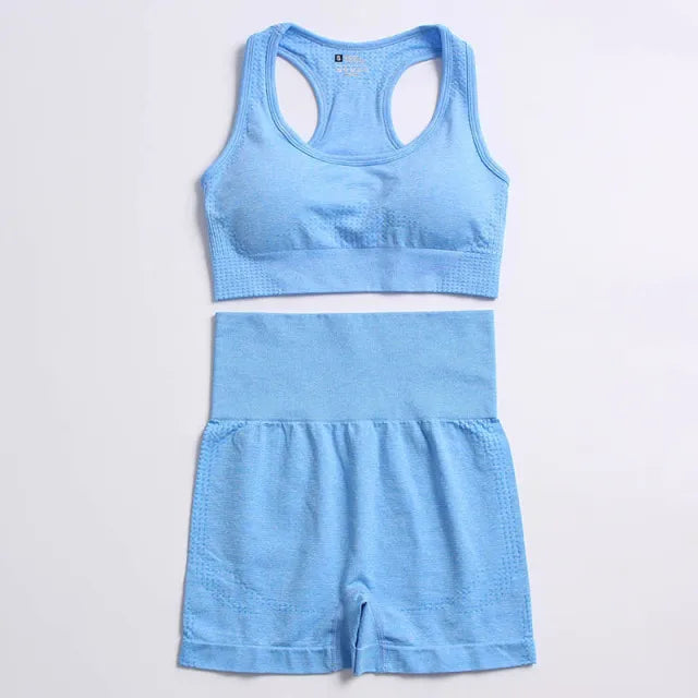 Seamless Yoga Fitness Suit