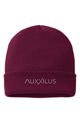 Auxxilus Beanie 2