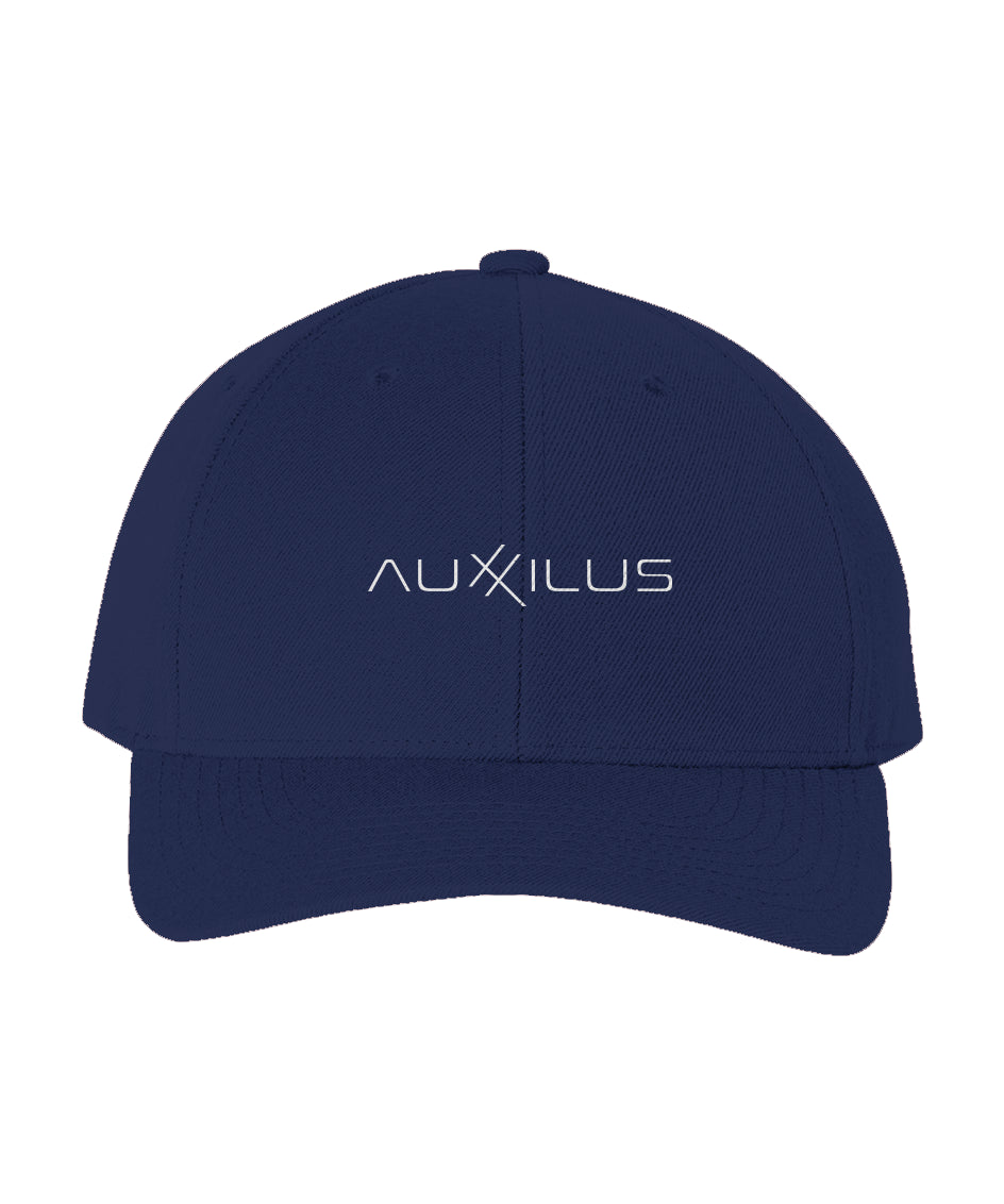 Auxxilus Curved Snapback