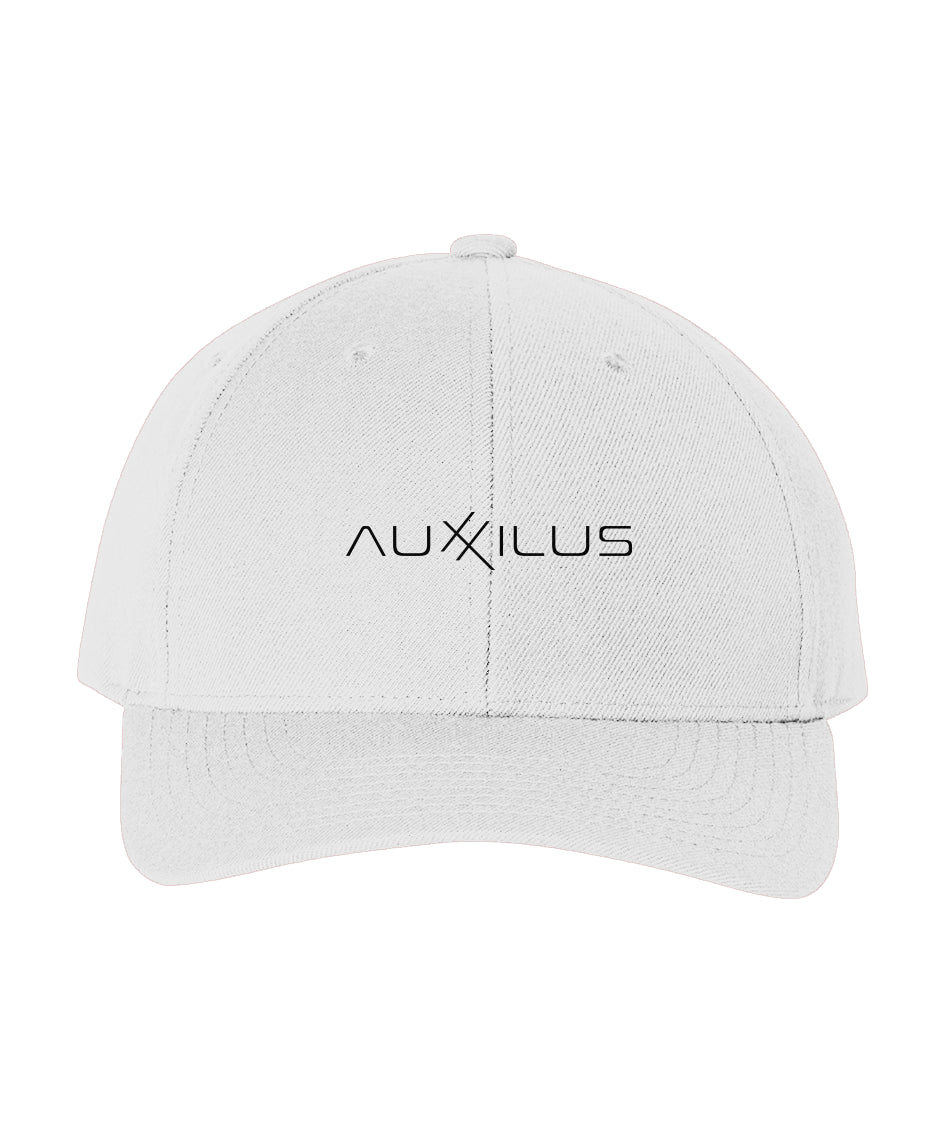 Auxxilus Curved Snapback