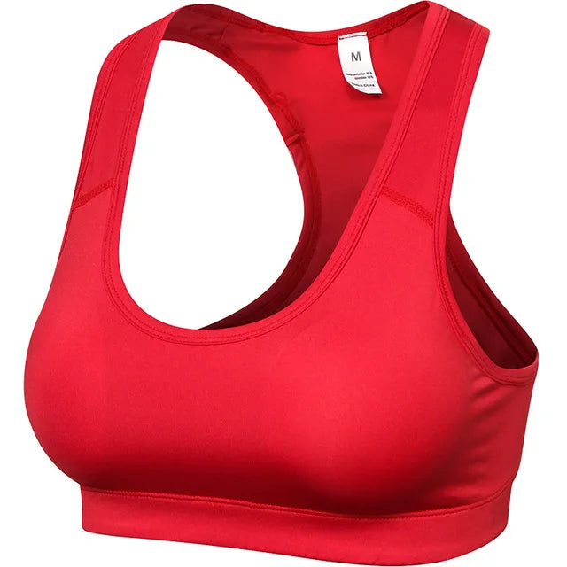 Cute Sports Bra | Vapor Sports Bra | Auxxilus