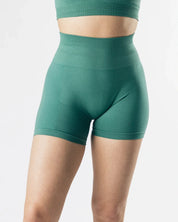 High Waisted Seamless fitness shorts