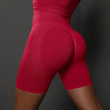 Women's Seamless High Waist Yoga Shorts