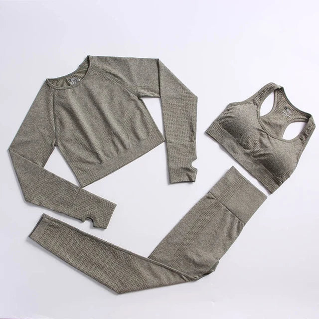 Seamless Yoga Fitness Suit