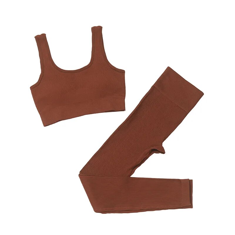 2 Pcs Sports Bra Set | Sports Bra Set | Auxxilus