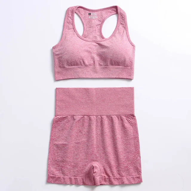Seamless Yoga Fitness Suit
